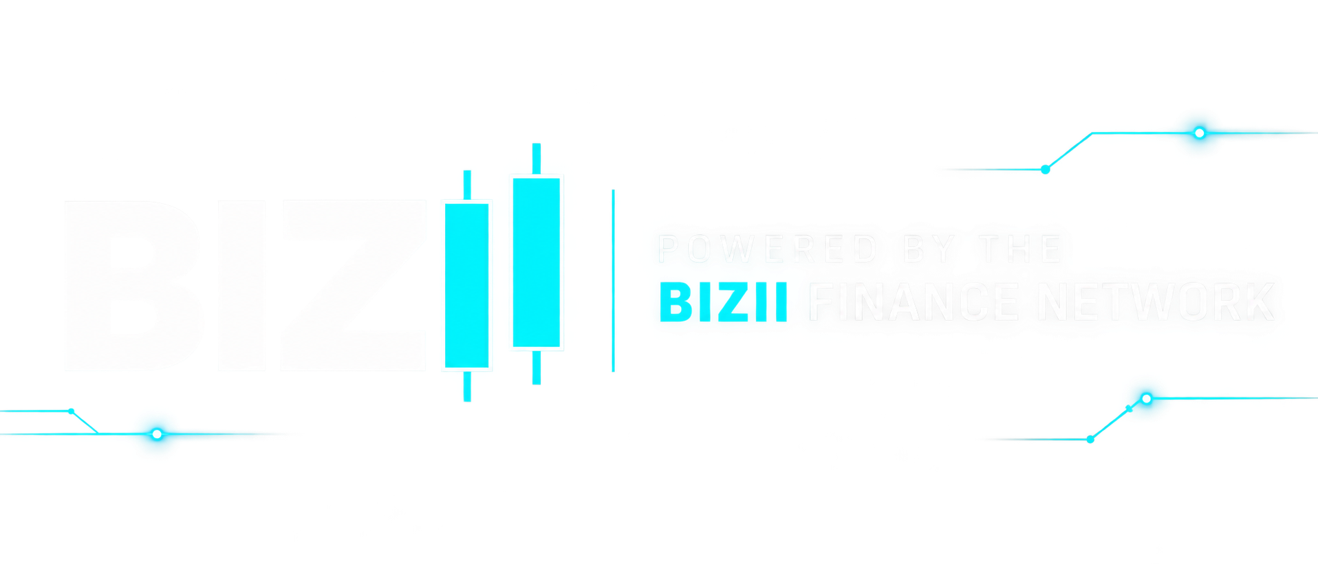 BIZII Finance Network logo — powering FixFin automotive equipment financing across Canada